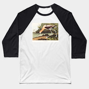 American Avocet from Birds of America (1827) Baseball T-Shirt